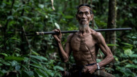 Kehidupan Suku Pemburu dan Peramu Terakhir di Kalimantan