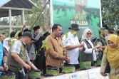 BDPN Inhil Gelar Peringatan Hari Mangrove Sedunia 2025: Dari Desa Belaras Barat untuk Dunia