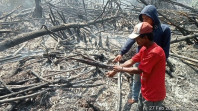 Polres Rohil Tangkap Pembakar Lahan di Kecamatan Sinaboi Kabupaten Rohil