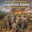 Indonesia Terancam Kehilangan Gajah Kerdil Borneo, Populasi Hanya Puluhan Ekor