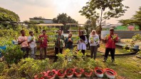 Pertamina Panen Hasil Urban Farming Kebun Gizi Rawajaya, Dorong Ketahanan Pangan dan Ekonomi Warga