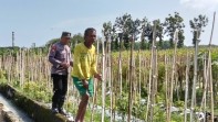 Bhabinkamtibmas Desa Sidorejo Dorong Warga Manfaatkan Pekarangan untuk Dukung Ketahanan Pangan