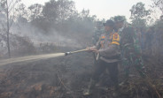 43 Titik Api di Kabupaten Bengkalis Hanguskan 200 Hektare Lahan