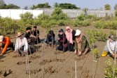 Green Action Day CHEF-X, Aksi Nyata Mahasiswa Kimia USK Warnai Hari Bumi di Mangrove Park Lampulo
