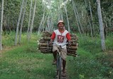 Program Perhutanan Sosial Dorong Ekonomi Masyarakat Sekitar Hutan di Riau