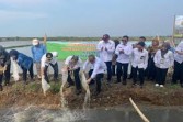 Program Ketahanan Pangan, Puluhan Hektare Sawah di Batang Ditanami Padi Hasil Riset