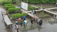 Kampus dan Konsultan Bahas Restorasi Kawasan Pesisir