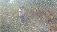 Polisi Selidiki Kebakaran Perkebunan Sawit di Kabupaten Kampar