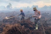 Waspada Karhutla di Lahan Gambut