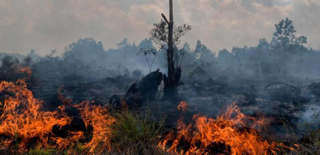 Derita Tim Pemadam Kebakaran, Karena Gubernur Riau Tidak Jalankan Perda Karhutla