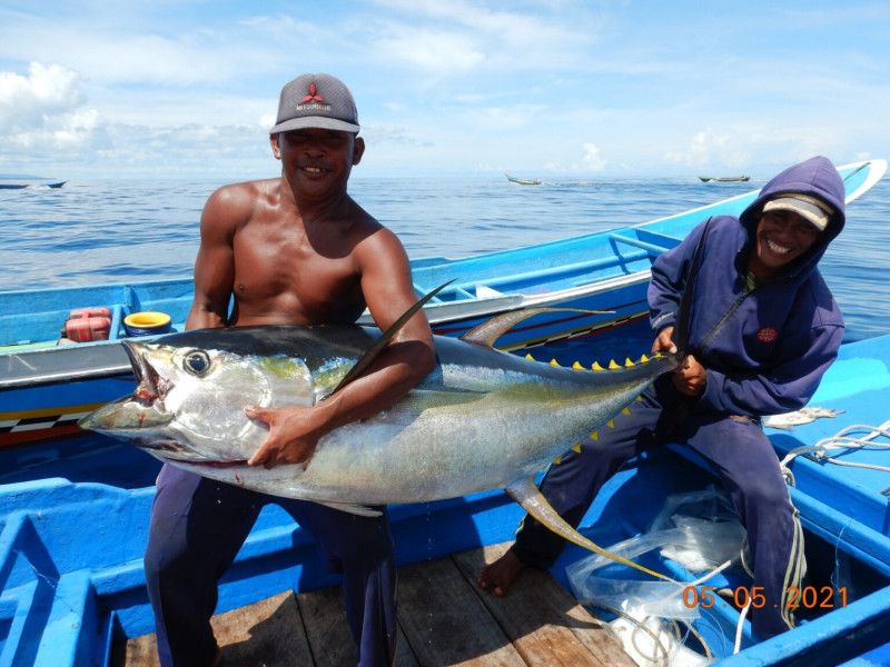 Izin Rumpon yang Sulit, Nasib Nelayan Tuna Maluku Utara