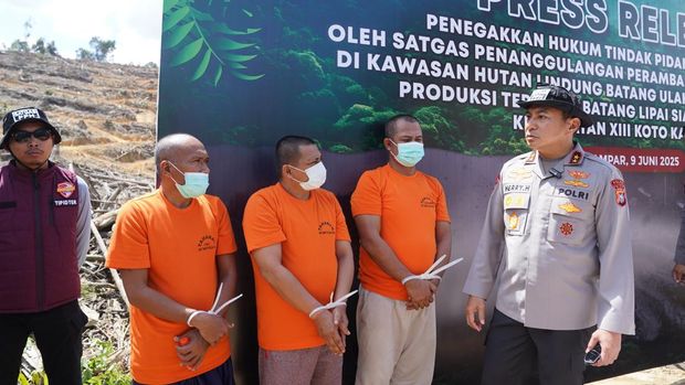 Oknum Sekdes di Kampar Terlibat Mafia Perambahan Hutan Lindung