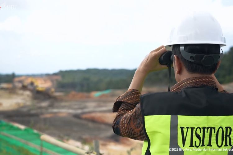 Bangun Pelintasan Monyet Upaya Pemerintah Jaga Satwa Liar di IKN