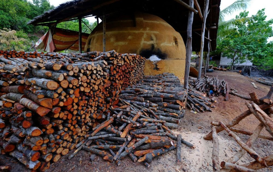 Dapur Arang di Pulau Cawan Ancam Ekosistem Pesisir Indragiri