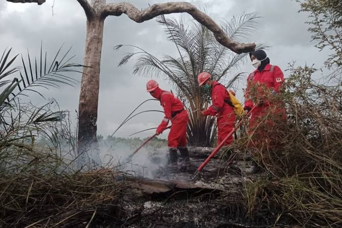 Lima Wilayah di Riau Tetapkan Status Siaga Darurat Karhutla