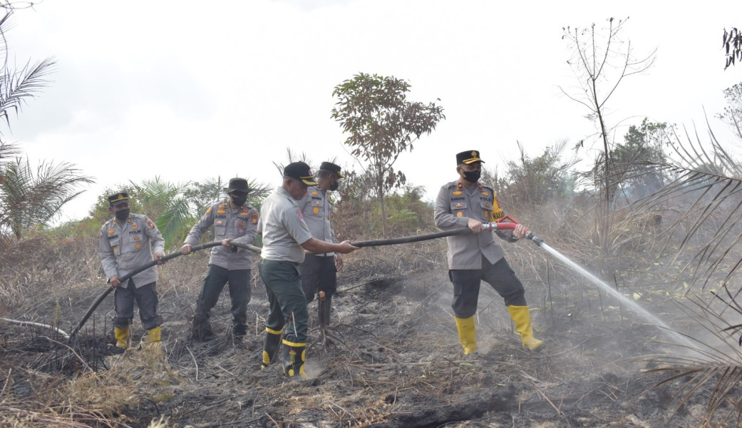 Empat Hari Berjibaku, Karhutla di Inhu Berhasil Dipadamkan