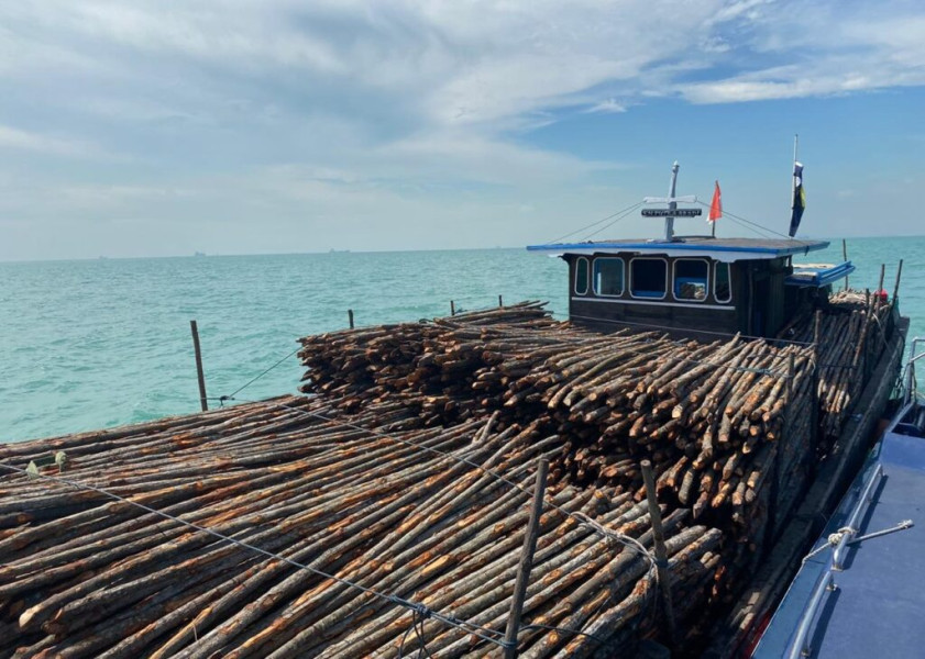 Kayu Ilegal Riau ke Karimun, Permasalahan dan Solusinya