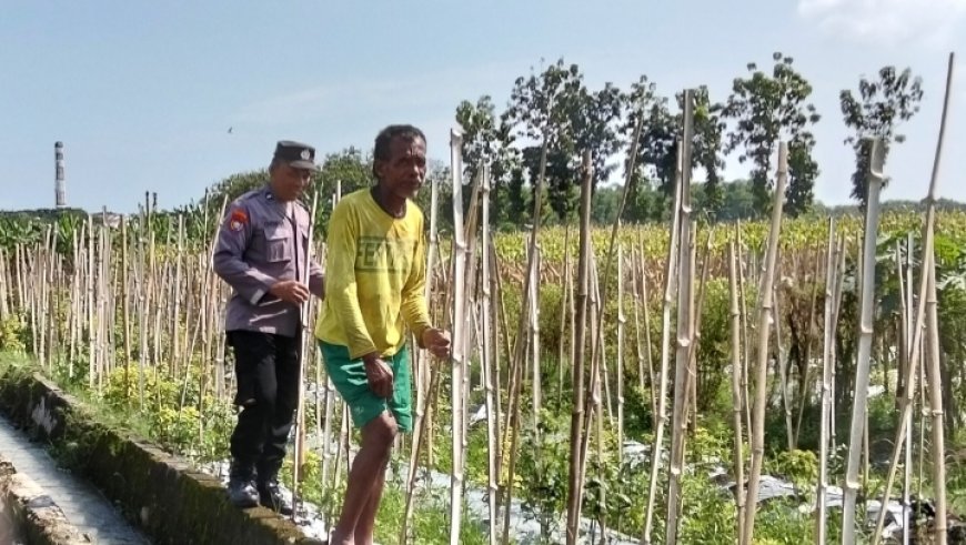 Bhabinkamtibmas Desa Sidorejo Dorong Warga Manfaatkan Pekarangan untuk Dukung Ketahanan Pangan