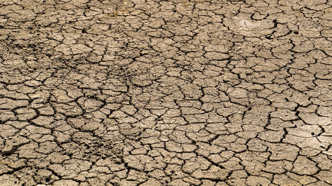 Pakar Minta Pemerintah Segera Lakukan Antisipasi Datangnya El Nino