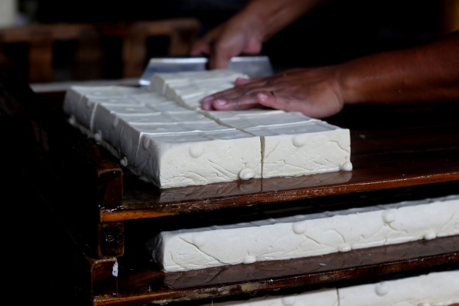 Dampak Perubahan Iklim: Kedelai Bisa Tumbuh Lebih Besar tapi Kurang Bergizi