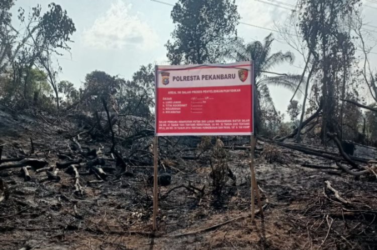 Petani Sayur di Riau Berurusan dengan Polisi Akibat Bakar Lahan PT PHR