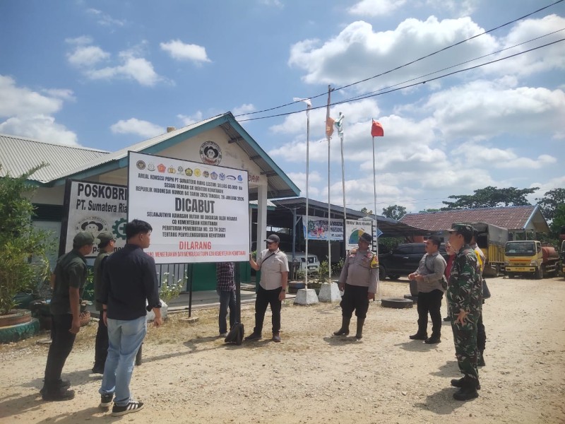 Pemasangan Plang Pencabutan Izin PT SRL di Rangsang dan Rupat: WALHI Riau Pertanyakan Luasan yang Tak Sesuai