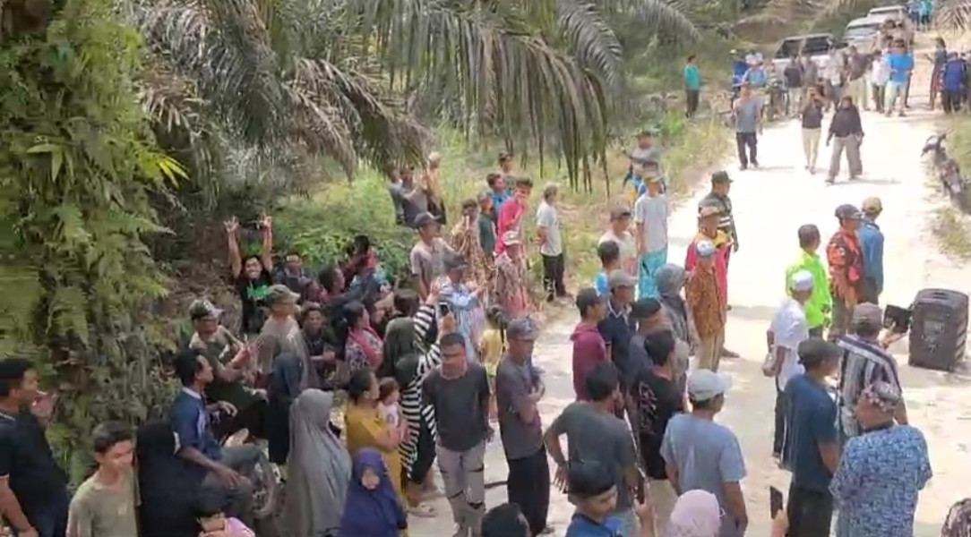 Tanahnya Dirampas, Ratusan Petani Sawit Segati Gelar Demontrasi Atas Arogansi NSR dan NWR