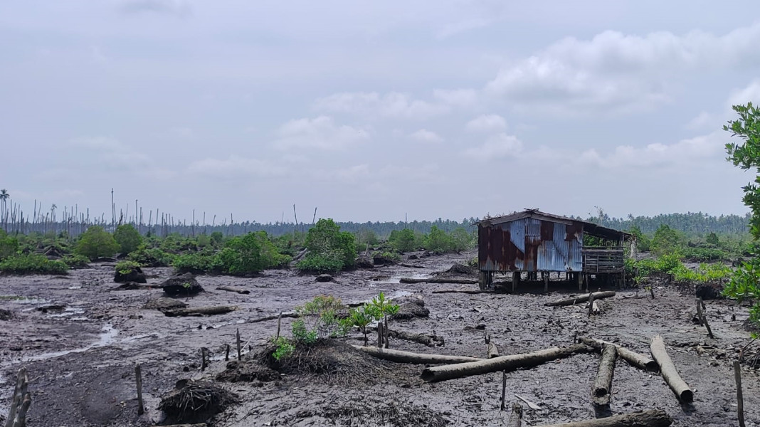 BDPN : Krisis Iklim Picu Kemiskinan di Pesisir Indragiri Hilir