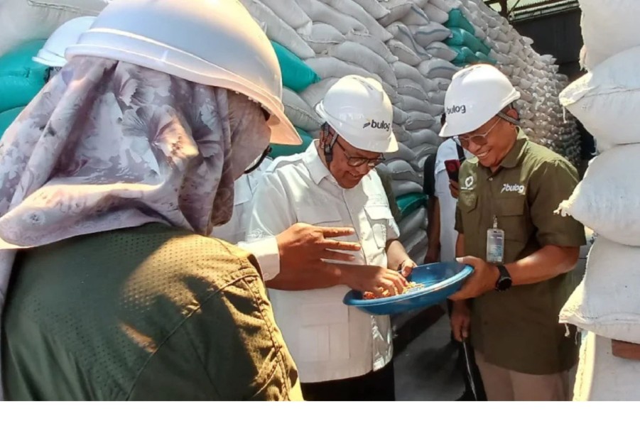 Amankan Ketahanan Pangan, Anggota DPR RI Apresiasi Manajemen Penyerapan Gabah Bulog Kediri