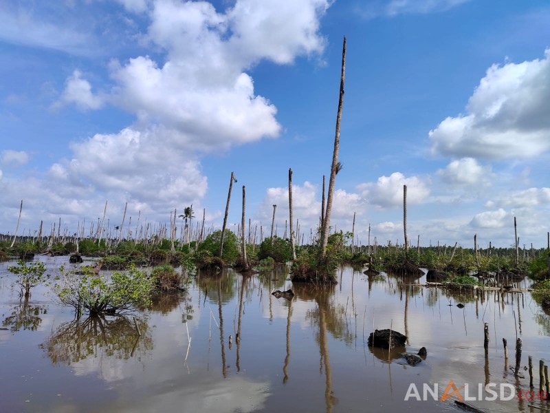 Atasi Bencana Ekologis, BDPN Desak Pemda Segera Susun Rencana Aksi Daerah Mitigasi dan Adaptasi Perubahan Iklim