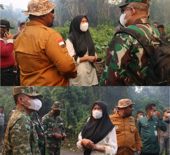 Tinjau Karhutla Parit 18, Plh Bupati Inhil Sebut 72 Hotspot Terdeteksi di Delapan Kecamatan