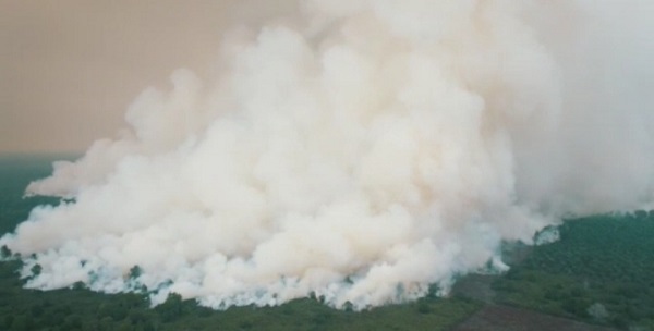Lab KPAK PETANI Sebut Aparat Lambat Tangani Karhutla di Perbatasan Dumai Bengkalis  