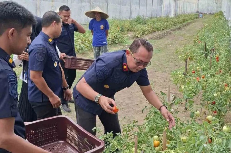 Rutan Banda Aceh panen program ketahanan pangan warga binaan
