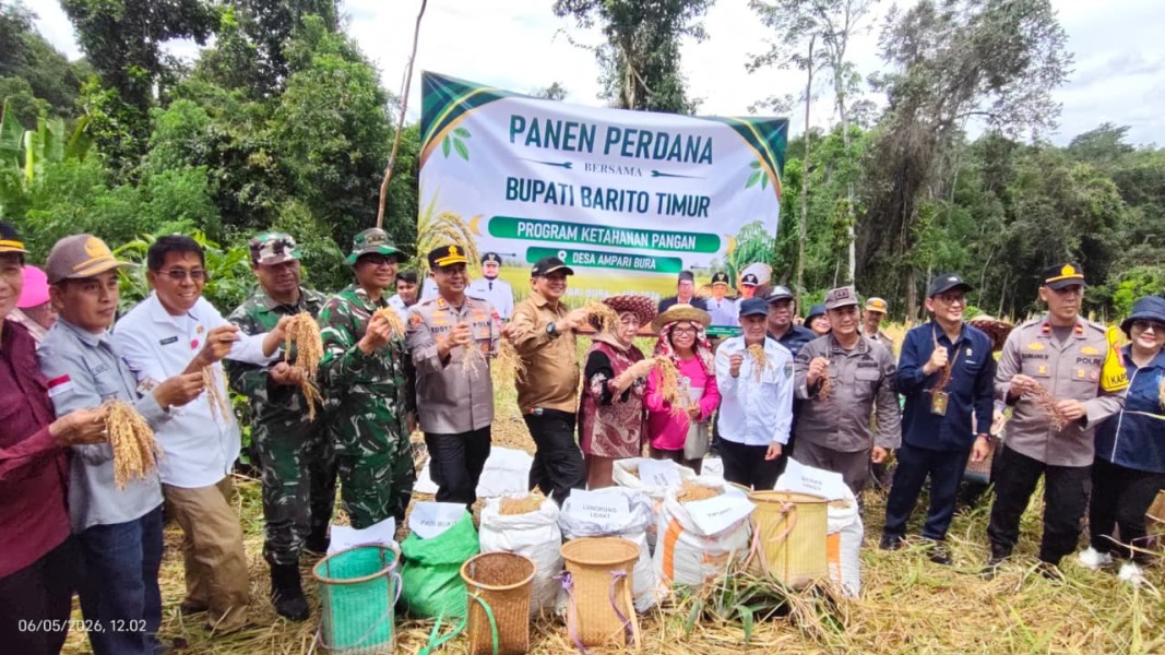 Panen Perdana di Ampari Bura, Bupati M. Yamin Tegaskan Komitmen Perkuat Ketahanan Pangan