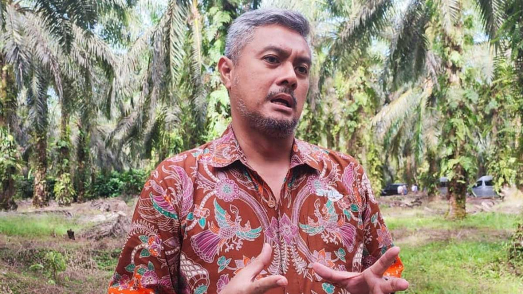 RSPO Dukung Kolaborasi Petani Sawit Swadaya Riau