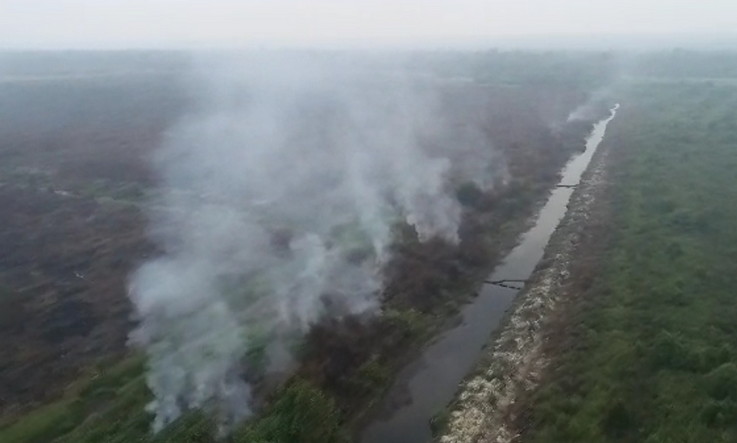 Kabut Asap di Riau Diduga Bersumber dari Karhutla Pelalawan