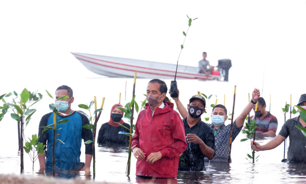 20 Tahun Dilarang, Jokowi Buka Keran Ekspor Tambang Pasir Laut