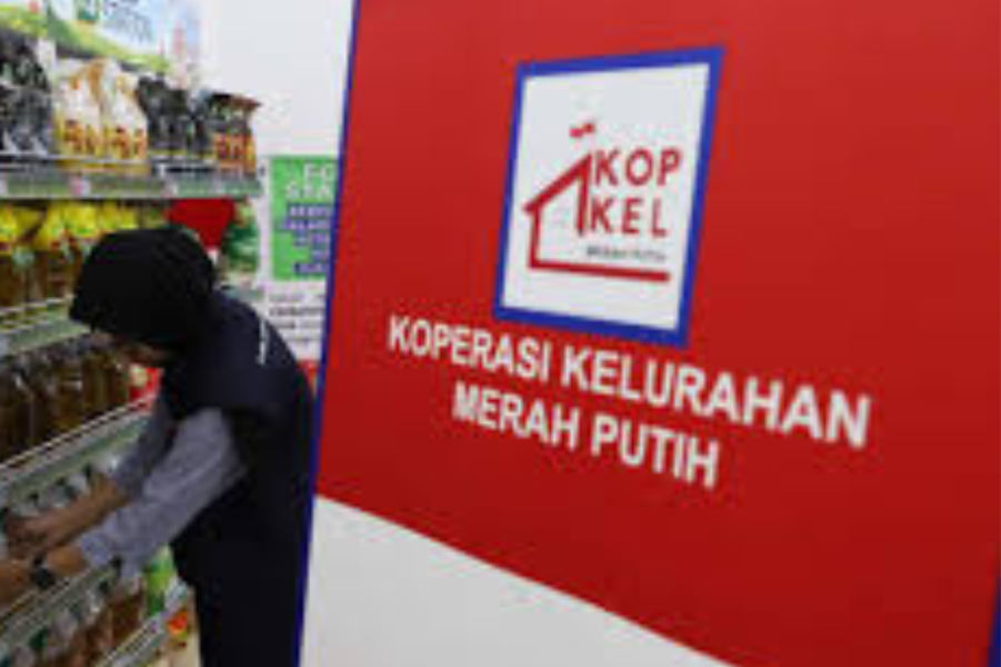Koperasi Merah Putih Jadi Motor Ekonomi Desa yang Dikelola Profesional